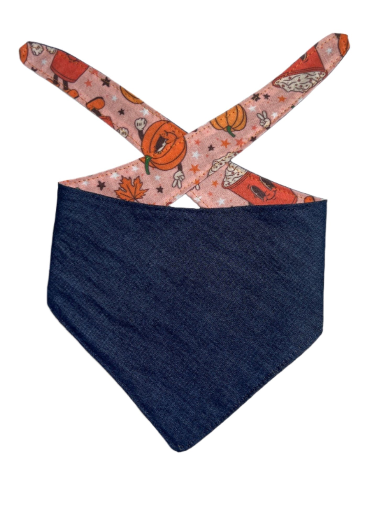 Pumpkin Spice Buddies Dog Bandana