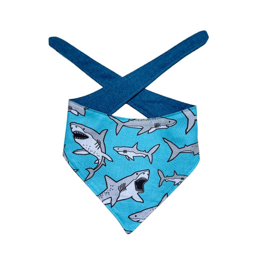 Shark Attack Dog Bandana
