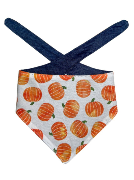 Watercolor Pumpkins Dog Bandana