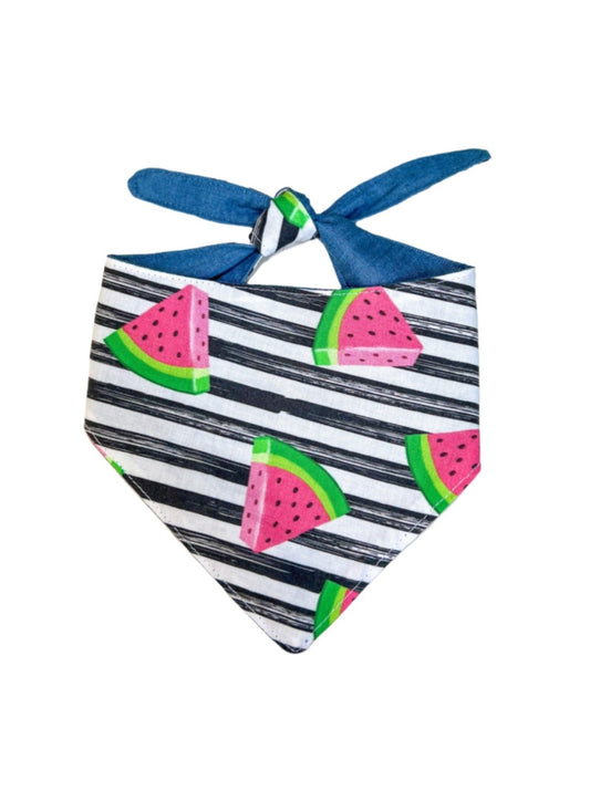 Watermelon Stripes Dog Bandana